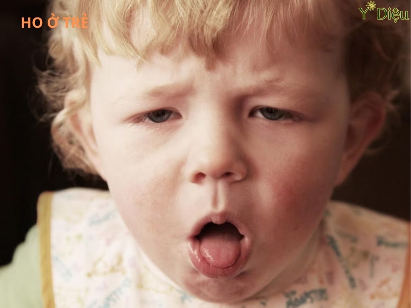 Siro Ho Cảm Hỗ Trợ Giải Cảm, Giảm Ho, Tiêu Đờm, An Toàn